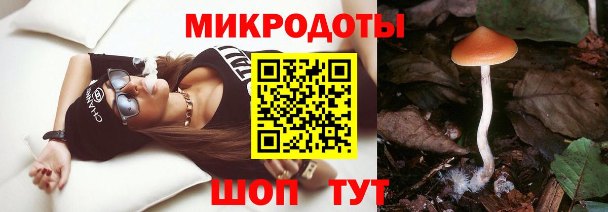 Псилоцибиновые грибы MAGIC MUSHROOMS Апшеронск