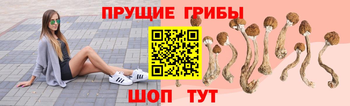 Псилоцибиновые грибы Psilocybe  Вход с VPN  Апшеронск  Галлюциногенные грибы MAGIC MUSHROOMS 